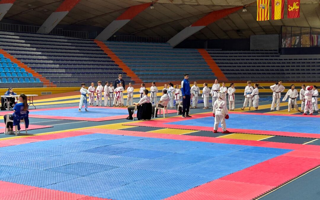 RESULTADOS DE LA III JORNADA DE LA LIGA FAK PARA LAS CATEGORIAS ALEVÍN A JUVENIL Y II JORNADA PARA LAS CATEGORIAS CADETE A SENIOR DE KATA Y KUMITE 2024